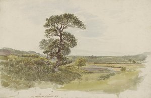 Een landschap in Snowdonia met een boom op de voorgrond